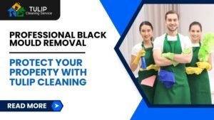 Professional Black Mould Removal Protect Your Property with Tulip Cleaning